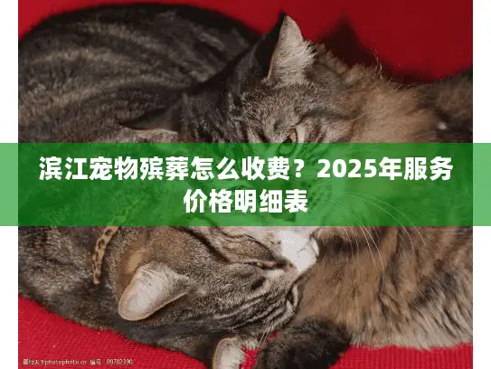 滨江宠物殡葬怎么收费？2025年服务价格明细表