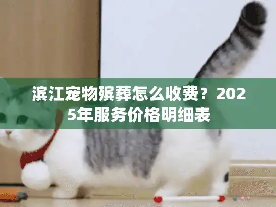 滨江宠物殡葬怎么收费？2025年服务价格明细表