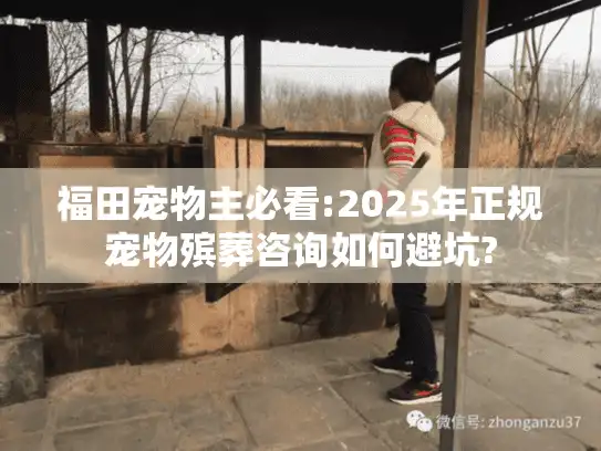 福田宠物主必看:2025年正规宠物殡葬咨询如何避坑?