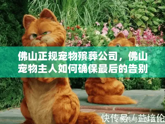 佛山正规宠物殡葬公司，佛山宠物主人如何确保最后的告别正规可靠？