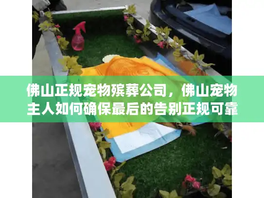 佛山正规宠物殡葬公司，佛山宠物主人如何确保最后的告别正规可靠？