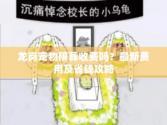 龙岗宠物殡葬收费吗？最新费用及省钱攻略