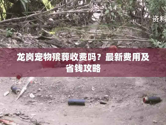 龙岗宠物殡葬收费吗？最新费用及省钱攻略