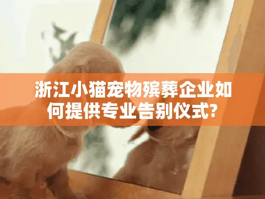 浙江小猫宠物殡葬企业如何提供专业告别仪式?