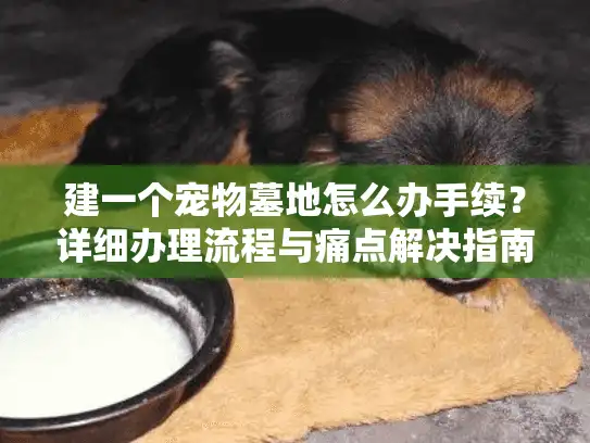 建一个宠物墓地怎么办手续？详细办理流程与痛点解决指南