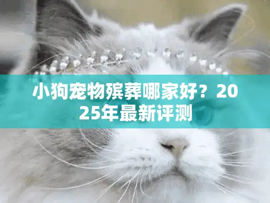 小狗宠物殡葬哪家好？2025年最新评测