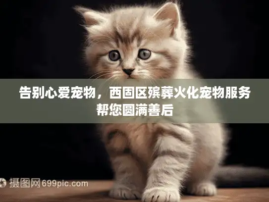 告别心爱宠物，西固区殡葬火化宠物服务帮您圆满善后