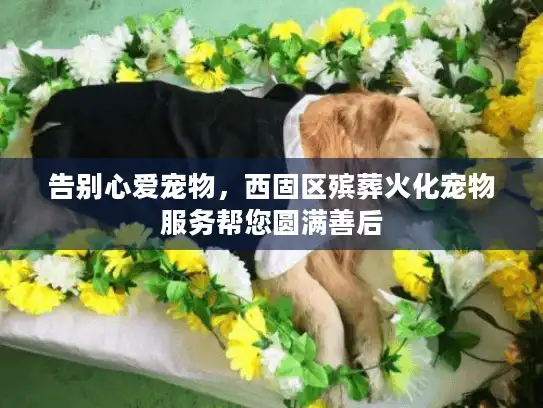 告别心爱宠物，西固区殡葬火化宠物服务帮您圆满善后