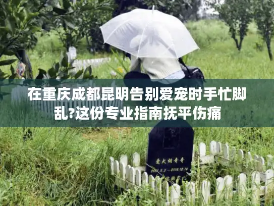 在重庆成都昆明告别爱宠时手忙脚乱?这份专业指南抚平伤痛
