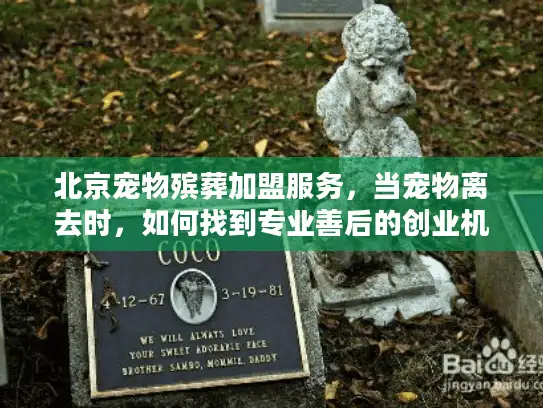 北京宠物殡葬加盟服务，当宠物离去时，如何找到专业善后的创业机遇？