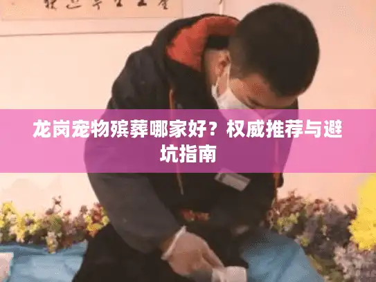 龙岗宠物殡葬哪家好？权威推荐与避坑指南