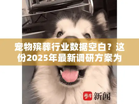 宠物殡葬行业数据空白？这份2025年最新调研方案为您指路