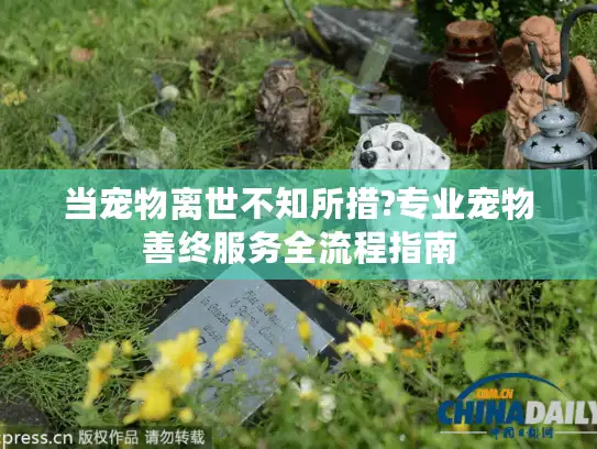 当宠物离世不知所措?专业宠物善终服务全流程指南