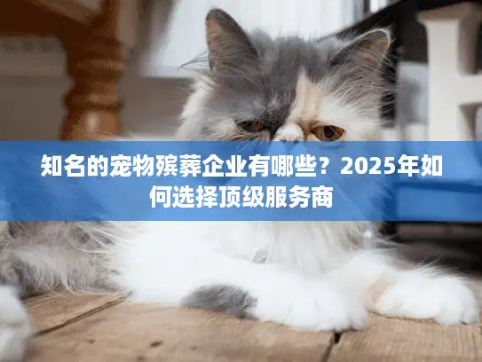 知名的宠物殡葬企业有哪些？2025年如何选择顶级服务商