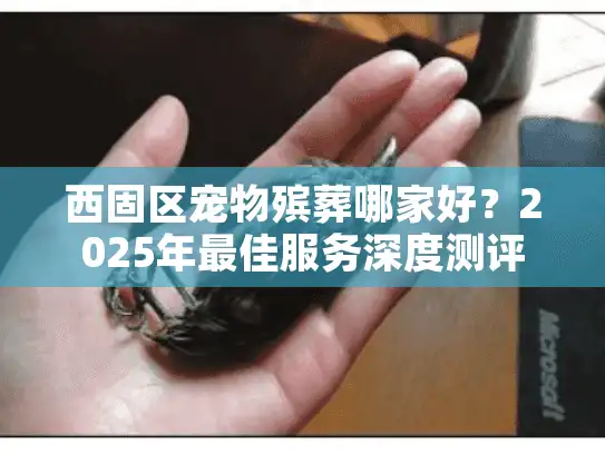 西固区宠物殡葬哪家好？2025年最佳服务深度测评