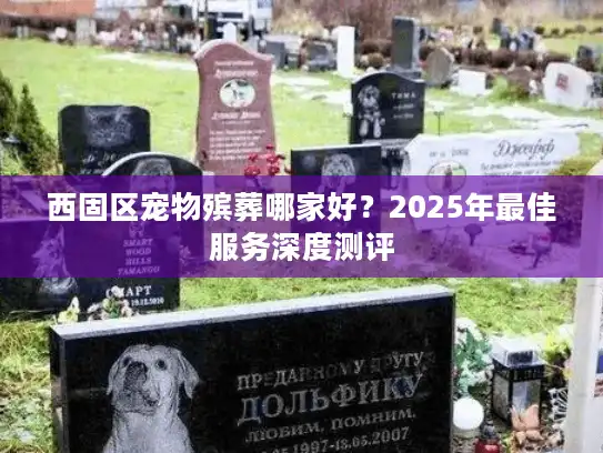 西固区宠物殡葬哪家好？2025年最佳服务深度测评