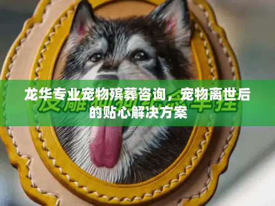 龙华专业宠物殡葬咨询，宠物离世后的贴心解决方案