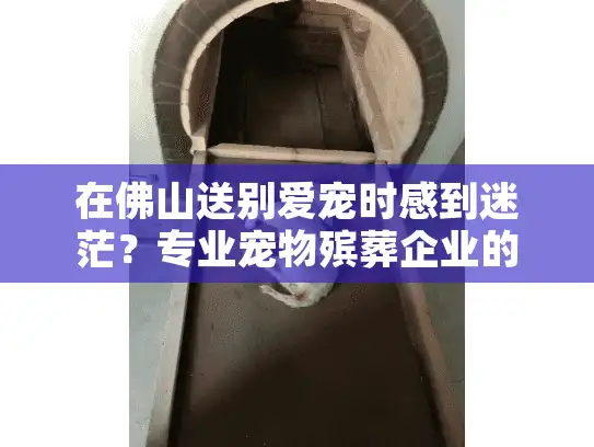 在佛山送别爱宠时感到迷茫？专业宠物殡葬企业的温暖解决方案来了