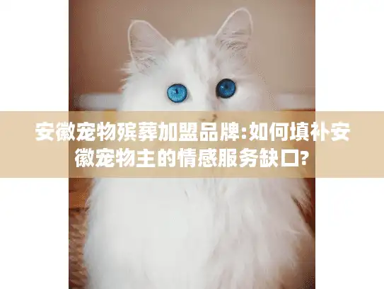 安徽宠物殡葬加盟品牌:如何填补安徽宠物主的情感服务缺口?