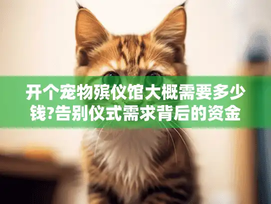 开个宠物殡仪馆大概需要多少钱?告别仪式需求背后的资金方案
