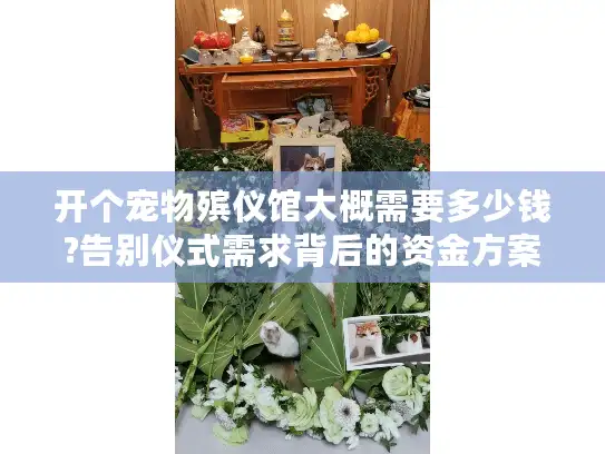 开个宠物殡仪馆大概需要多少钱?告别仪式需求背后的资金方案