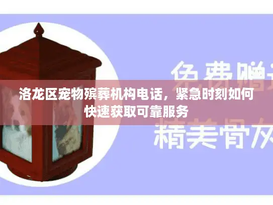 洛龙区宠物殡葬机构电话，紧急时刻如何快速获取可靠服务