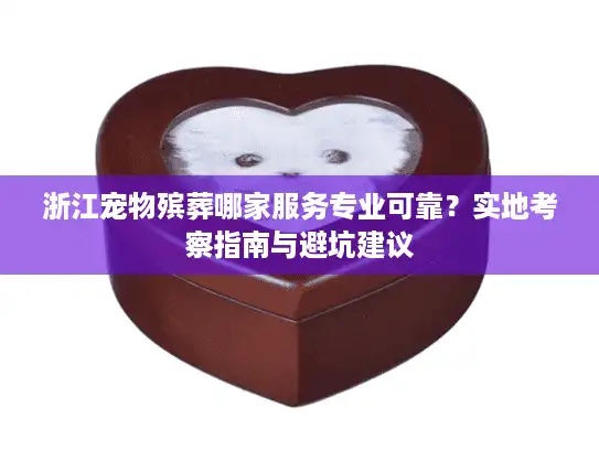 浙江宠物殡葬哪家服务专业可靠？实地考察指南与避坑建议