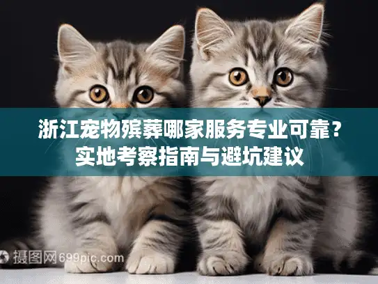 浙江宠物殡葬哪家服务专业可靠？实地考察指南与避坑建议