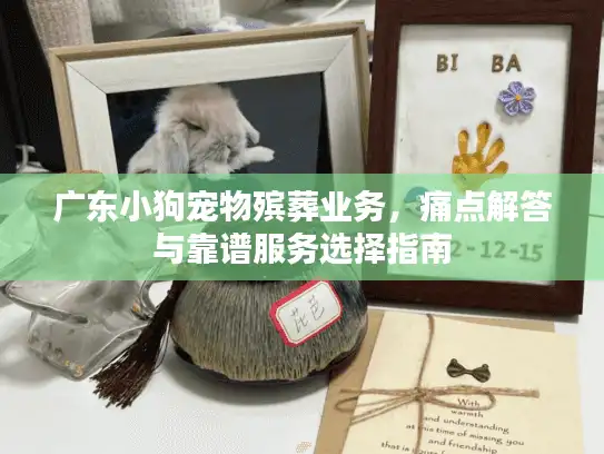 广东小狗宠物殡葬业务，痛点解答与靠谱服务选择指南