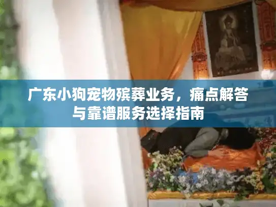 广东小狗宠物殡葬业务，痛点解答与靠谱服务选择指南