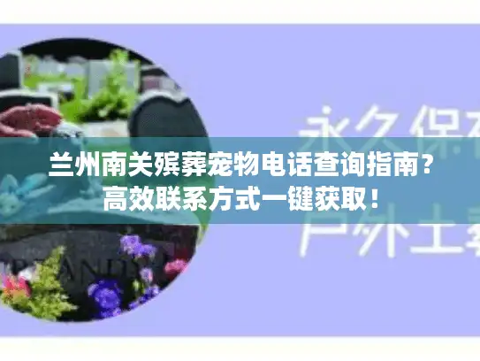 兰州南关殡葬宠物电话查询指南？高效联系方式一键获取！