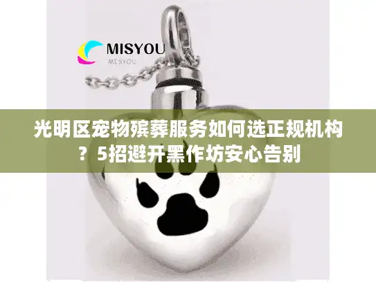 光明区宠物殡葬服务如何选正规机构？5招避开黑作坊安心告别