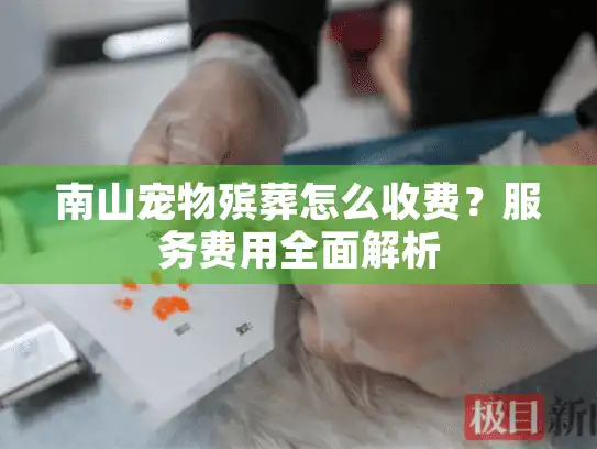 南山宠物殡葬怎么收费？服务费用全面解析