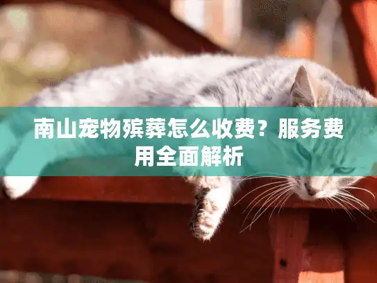 南山宠物殡葬怎么收费？服务费用全面解析