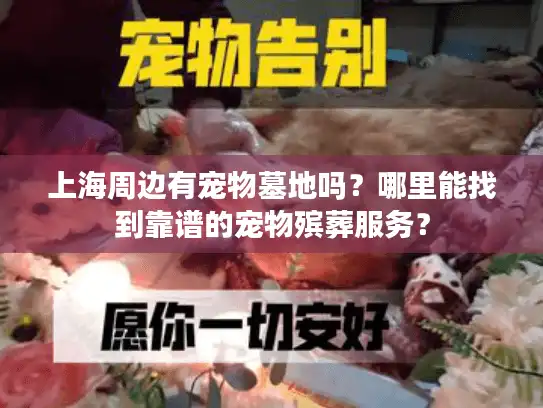 上海周边有宠物墓地吗？哪里能找到靠谱的宠物殡葬服务？