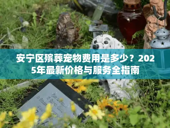 安宁区殡葬宠物费用是多少？2025年最新价格与服务全指南
