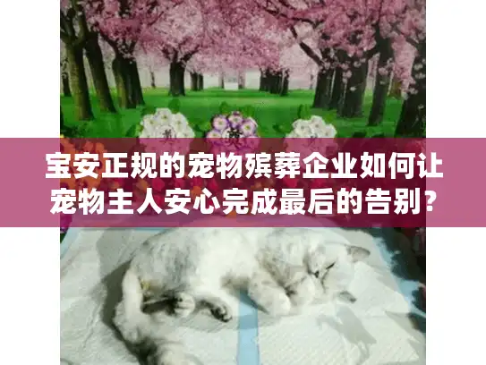 宝安正规的宠物殡葬企业如何让宠物主人安心完成最后的告别？