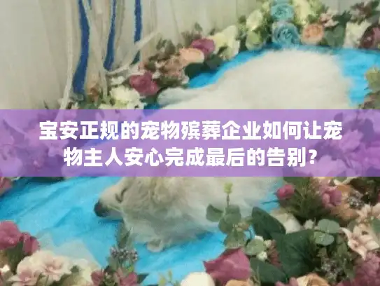 宝安正规的宠物殡葬企业如何让宠物主人安心完成最后的告别？