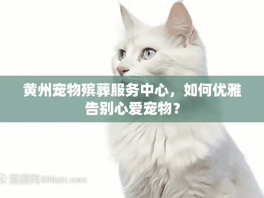 黄州宠物殡葬服务中心，如何优雅告别心爱宠物？