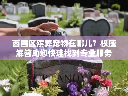 西固区殡葬宠物在哪儿？权威解答助您快速找到专业服务