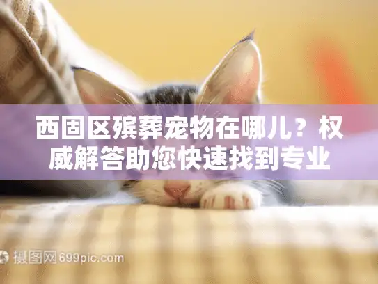 西固区殡葬宠物在哪儿？权威解答助您快速找到专业服务