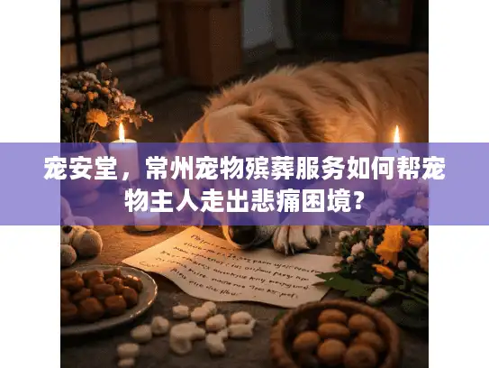 宠安堂，常州宠物殡葬服务如何帮宠物主人走出悲痛困境？