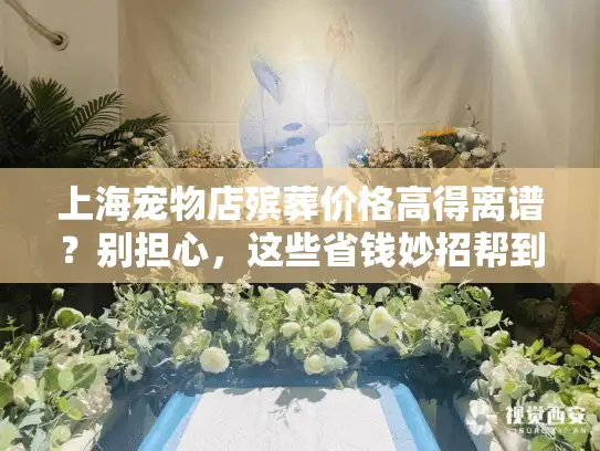 上海宠物店殡葬价格高得离谱？别担心，这些省钱妙招帮到你！