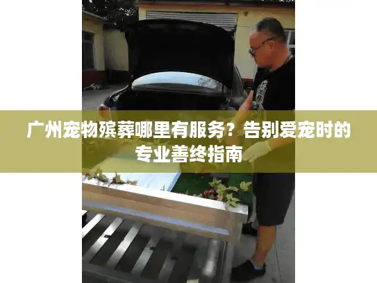广州宠物殡葬哪里有服务？告别爱宠时的专业善终指南