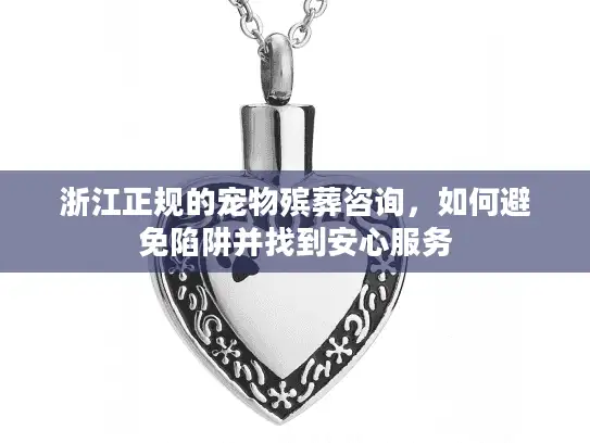 浙江正规的宠物殡葬咨询，如何避免陷阱并找到安心服务