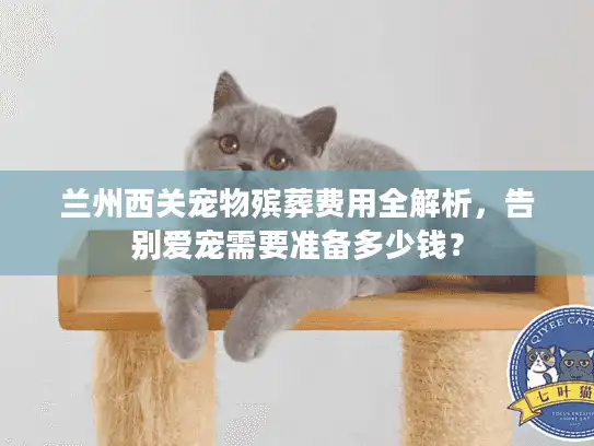 兰州西关宠物殡葬费用全解析，告别爱宠需要准备多少钱？