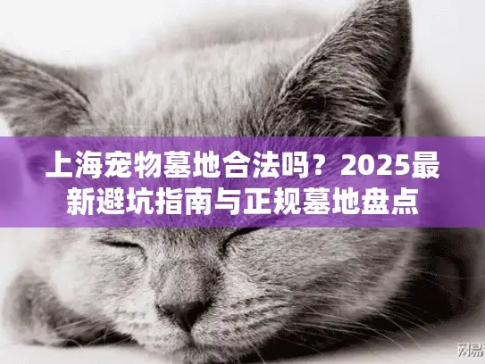 上海宠物墓地合法吗？2025最新避坑指南与正规墓地盘点