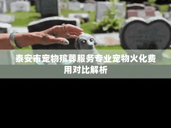 泰安市宠物殡葬服务专业宠物火化费用对比解析