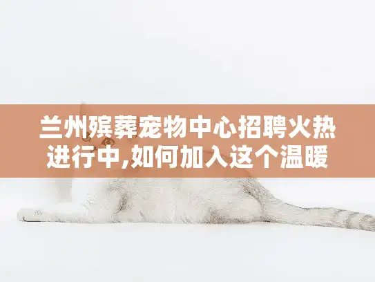 兰州殡葬宠物中心招聘火热进行中,如何加入这个温暖的朝阳行业?