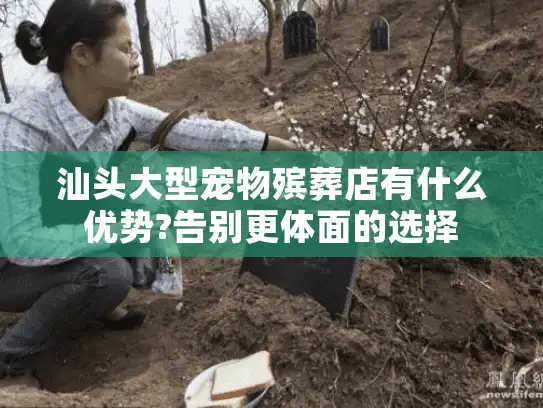 汕头大型宠物殡葬店有什么优势?告别更体面的选择